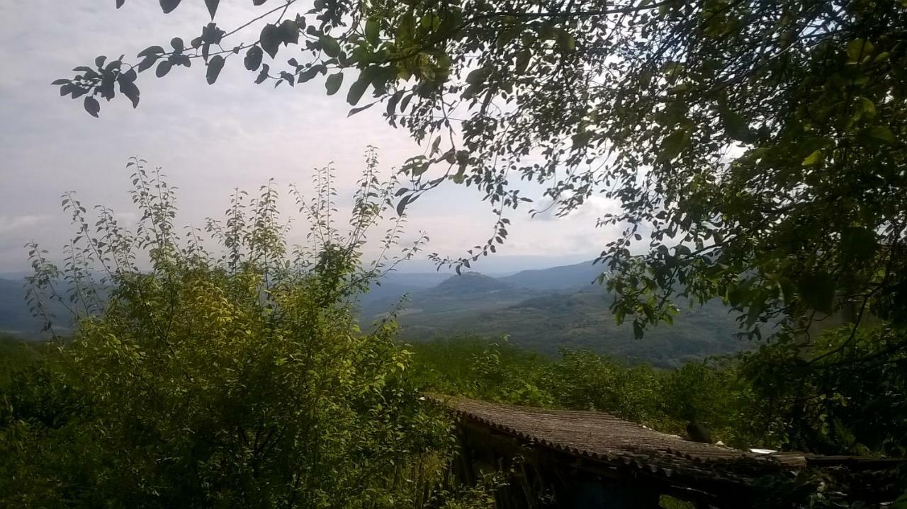 Holiday Home Vižinada Esterno foto